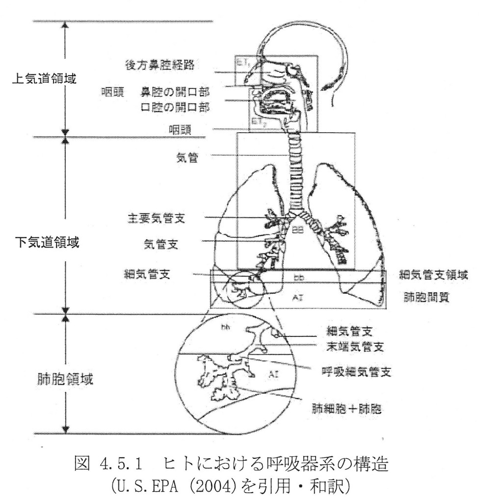 SCN_0011