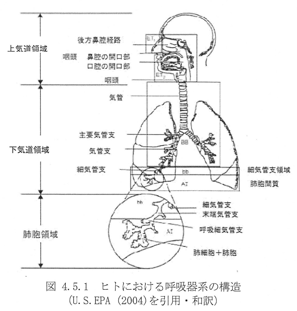 SCN_0011