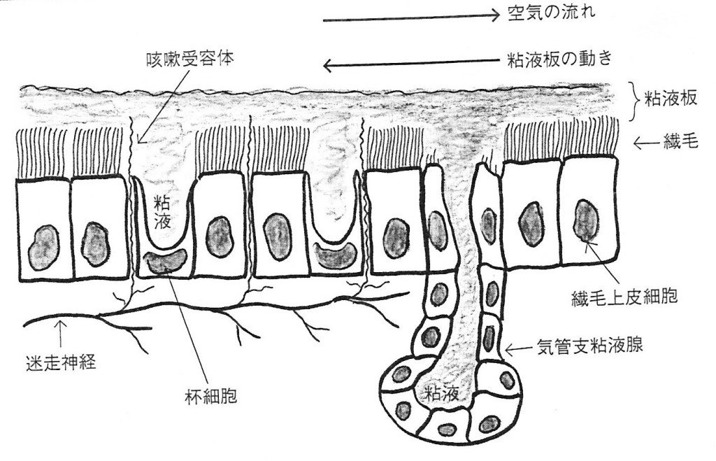 SCN_0060