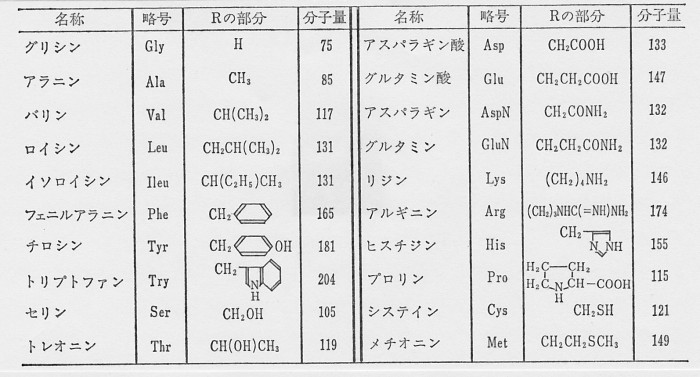 SCN_0094　アミノ酸種類